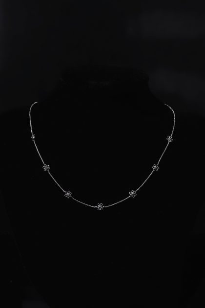 ARVCHN-06